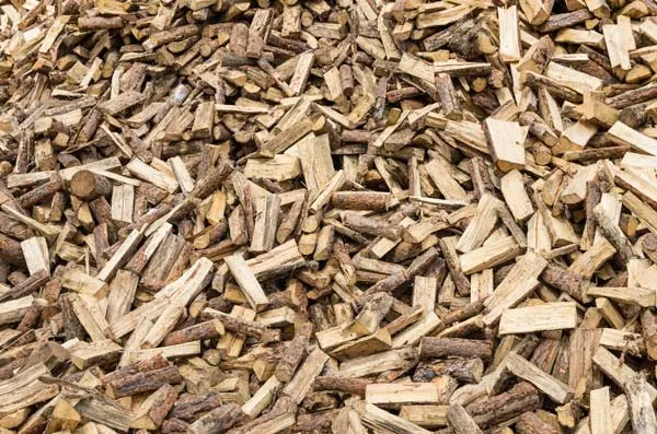Recycler les déchets végétaux d'un jardin en bois de chauffage, chenevex, Monsieur Hugo Tardy