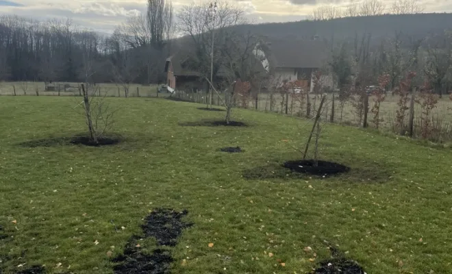 Plantation de haie à Divonne., Échenevex, Monsieur Hugo Tardy
