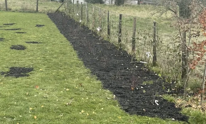 Plantation de haie à Divonne., Échenevex, Monsieur Hugo Tardy