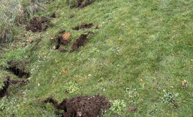 Plantation de haie à Divonne., Échenevex, Monsieur Hugo Tardy