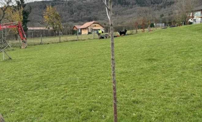 Plantation de haie à Divonne., Échenevex, Monsieur Hugo Tardy